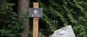Ein Jahr nach Laura Dahlmeiers Tod: Lukas Wörle über ihre letzte Expedition