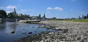 Elbe-Niedrigwasser: Keine Güterschiffe bis September auf Oberelbe