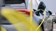 Elektroautos in Sachsen-Anhalt: Nur Hamburg hat niedrigeren Anteil
