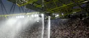 EM-Stadionkletterer zahlt 7.000 Euro Polizeikosten nach Mediation