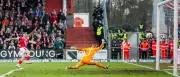 Energie Cottbus: Torjäger Engelhardt verlängert langfristig