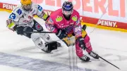 ERC Ingolstadt verpflichtet Verteidiger Nicolas Appendino für die DEL-Saison