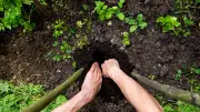 Erdkühlschrank im Garten: So funktioniert die natürliche Kühlung
