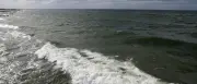 Erneute Walsichtung in der Ostsee: Tier vor Wustrow gesichtet