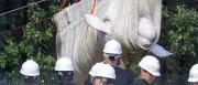 Erste Beluga-Wale verlassen geschlossenen Tierpark Marineland in Kanada