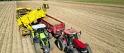 EU-Agrarreform: Studie warnt vor schweren Folgen für Ostdeutschland