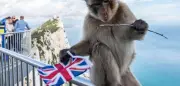 EU-UK-Abkommen: Grenzkontrollen zwischen Spanien und Gibraltar aufgehoben