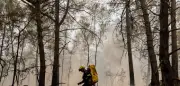 Europa brennt: Frühe und heftige Feuersaison fordert Tausende Hektar