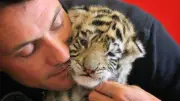 Exotische Tiere als Haustier: Was in Deutschland erlaubt ist