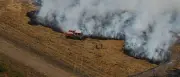 Extreme Waldbrandgefahr in Südeuropa: Zahl der Risikotage stark gestiegen
