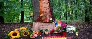 Extremismus-Berater: Jahrelange Radikalisierung bei CSD-Attentäter Abdul B.