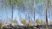 Feuer auf ehemaligem Militärgelände in Jüterbog gelöscht