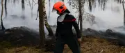 Feuerwehrmann gesteht Brandstiftung im Wald von Fontainebleau