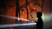 Feuerwehrmann legte Waldbrand bei Paris: Geständnis vor Gericht