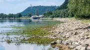 Fischer fordern mehr Schutz für Bayerns Flüsse bei Niedrigwasser und Hitze
