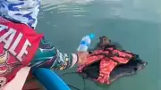Fischer rettet erschöpften Affen vor Phuket aus dem Meer
