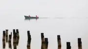 Fälschungen bei Fischereischeinen in Baden-Württemberg nehmen zu