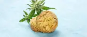 Fünf Berliner nach Cannabis-Keksen in Klinik – keine Lebensgefahr