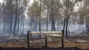 Frankreich: 15.000 Menschen kehren nach Waldbränden bei Bordeaux zurück