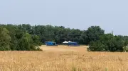 Frankreich: Ehemann gesteht Mord an Delphine Jubillar und führt Polizei zu Leiche