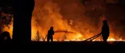 Frankreich kämpft gegen Waldbrände: 25.000 Menschen evakuiert, Macron bittet EU um Hilfe