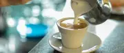Frühstück in Berlin: Tipps für besondere Lokale in allen Bezirken