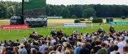 Fürstenberg-Rennen in Hoppegarten: Derbyjahrgang trifft auf erfahrene Pferde