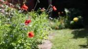 Gartenexpertin gesteht: Perfektionismus führte zu größten Fehlern