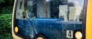 Gewitter in Berlin: S-Bahn prallt gegen Baum – 100 Fahrgäste betroffen