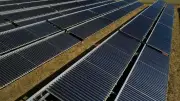 Grünen-Gesetzentwurf: Pflichtbeteiligung an Wind- und Solarparks in Rheinland-Pfalz