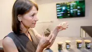 Grünen-Ministerin Staudte riecht an Cannabis-Sorten in Oldenburg