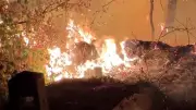 Großbrand bei Paris: Feuerwalze zerstört über 800 Hektar im Wald von Fontainebleau