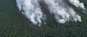 Großbrand im Müritz-Nationalpark: Betroffene Fläche auf über 200 Hektar ausgeweitet