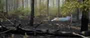 Großbrand im Müritz-Nationalpark: Feuer nach einer Woche gelöscht