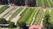 Großeinsatz in Halstenbek: Feuerwehr sucht gefährliche Speikobra