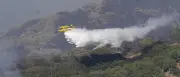 Großfeuer in Andalusien: Zwölf Tote, 19 Vermisste bei Waldbrand