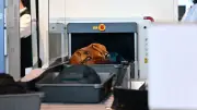 Gürtel-Posse am BER: Sicherheitsdienst und Flughafen uneins