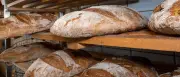 Handwerk drängt auf Abschaffung des Sonntagsbackverbots für Bäcker