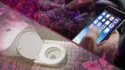 Handy oder Toilette: Wo lauern mehr Keime? BILD macht den Test