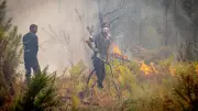Helden von Saint Hélène: Anwohner kämpfen mit Gartenschläuchen gegen Waldbrand