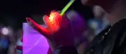 Helene Beach und Nation of Gondwana: Zwei Festivals locken Raver nach Brandenburg