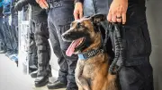 Helm, Hund und Hightech: So werden Berlins Gefängnisse sicherer