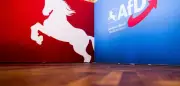 Herzberg am Harz: AfD-Kandidat Justin Vogel zur Bürgermeisterwahl abgelehnt