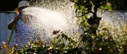 Hitze in Deutschland: Bis zu 39 Grad und schwere Gewitter erwartet