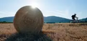 Hitzeglocke: Bis zu 35 Grad am Wochenende, 38 Grad Anfang der Woche