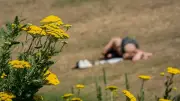 Hitzewelle erreicht Rheinland-Pfalz und Saarland mit bis zu 39 Grad