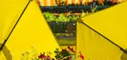 Hitzewelle in Deutschland: Höhepunkt mit 39 Grad, dann schwere Gewitter