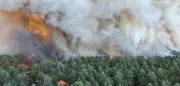 Hitzewelle in Frankreich: Waldbrand bei Paris – Kernkraftwerke gedrosselt