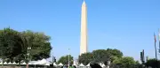 Hitzewelle in USA: Unabhängigkeitsparade in Washington abgesagt