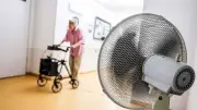 Hitzewelle: Schon über 800 Hitzetote in Deutschland – RKI schätzt 500 Senioren
